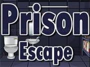 玩 Prison escape