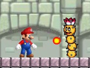 玩 Mario Hero
