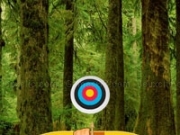玩 Wild Forest-Hidden Targets