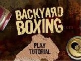Play Backyard boxing now