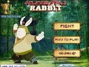 玩 Kung fu rabbit