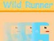 玩 Wild runner