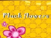 Play Pluckflowers now