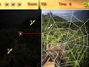 玩 Hunting spider - asia