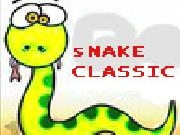 Play Snake classic now