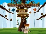 玩 Crazy squirrel