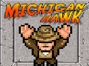 Play Michigan hawk now
