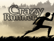 玩 Crazy runner