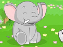 Play Baby animal shelter now