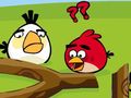 玩 Angry birds go crazy