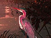 玩 Pink heron in the lake slide puzzle