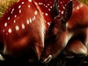 玩 Deers and wildlife puzzle