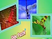 玩 Dragonfly in the garden puzzle