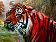 玩 Red wild tigers puzzle