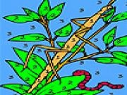 玩 Worm and dragonfly coloring