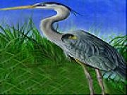 玩 Heron in the reeds slide puzzle