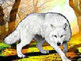 玩 Old wild wolves puzzle