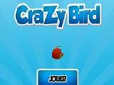 玩 Crazy bird