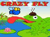 玩 Crazy fly