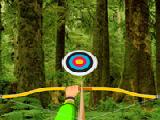 玩 Wild forest-hidden targets