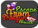 玩 Escape from shotgun house