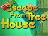 玩 Escape from tree house