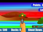 Ducks hunting