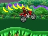 Donkey Kong ATV