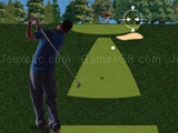 Play Flash golf 3D now
