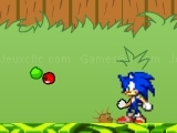 玩 Sonic in Garden