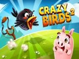 玩 Crazy birds 2