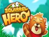 玩 Squirrel hero