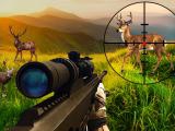 玩 Wild hunter sniper buck
