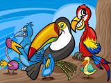 Play Exotic birds coloring now