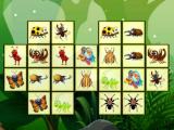 Play Connect the insects now