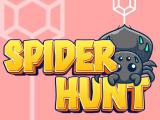 玩 Spider hunt