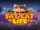 玩 Fat cat life now