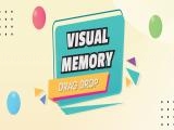 玩 Visual memory drag drop