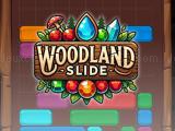 玩 Woodland slide