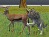 玩 Wolf life simulator now