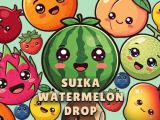 玩 Suika watermelon drop