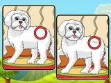 玩 Dogs spot the differences 2