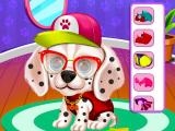 玩 My puppy daycare salon