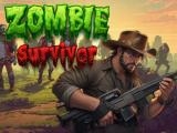 玩 Zombie survivor now