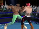 玩 Real boxing fighting game
