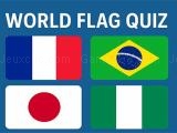 玩 World flag quiz now