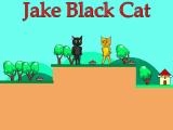 玩 Jake black cat now