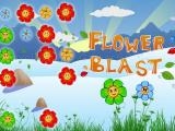 玩 Flower blast now