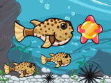 玩 Run fish run now