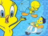 玩 Tweety bird now